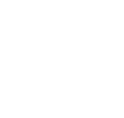 Large Vehicles 