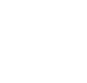 Small Vehicles