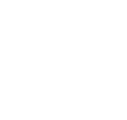 Medium Vehicles 